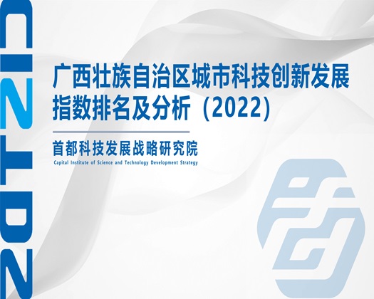 被大鸡把操爆在线观看【成果发布】广西壮族自治区城市科技创新发展指数排名及分析（2022）